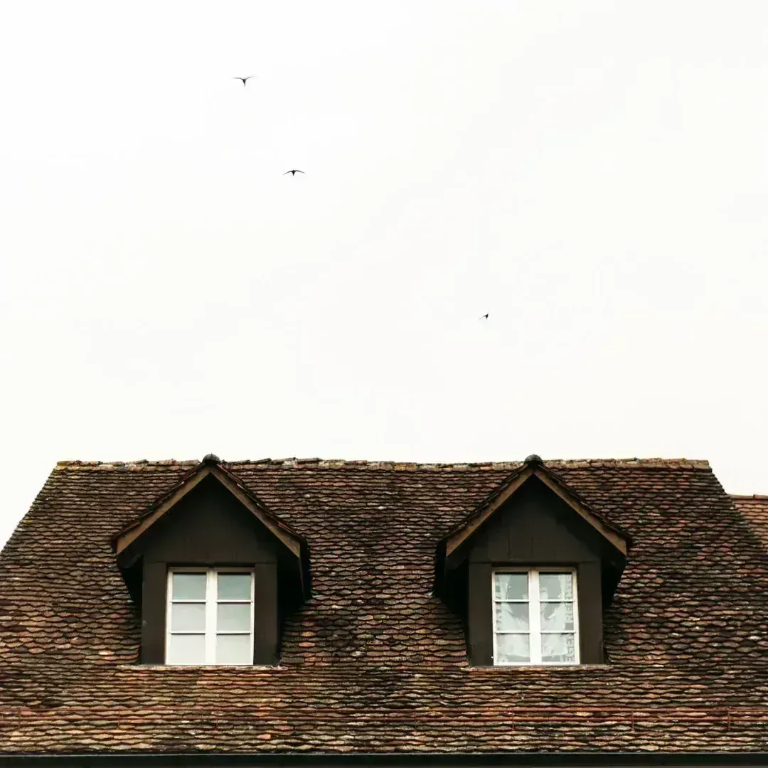 Shingle Roofing
